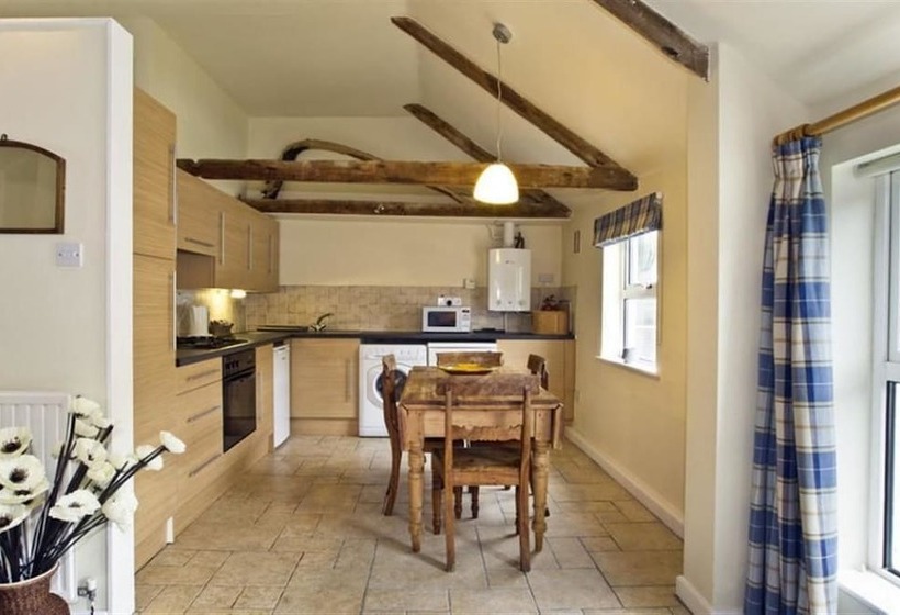 Green Door   Marigold