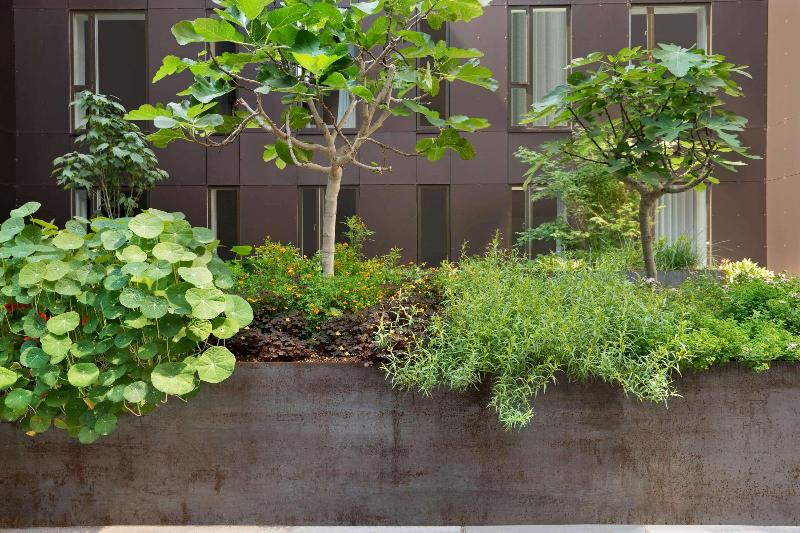 فندق Comwell Copenhagen Portside Dolce By Wyndham