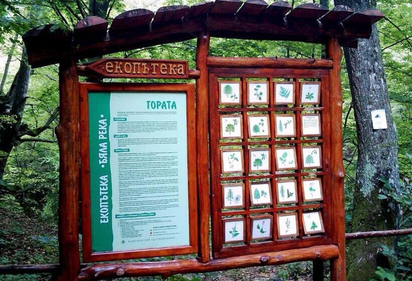 Отель гостоприемница георги