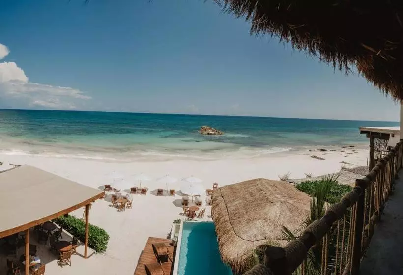 Hotelli Akkuun Tulum Adults Only