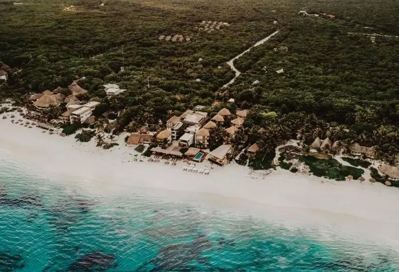 Hotelli Akkuun Tulum Adults Only