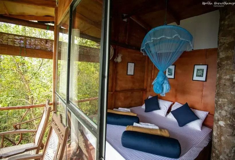 Hotelli Tree Houses By Jungle River