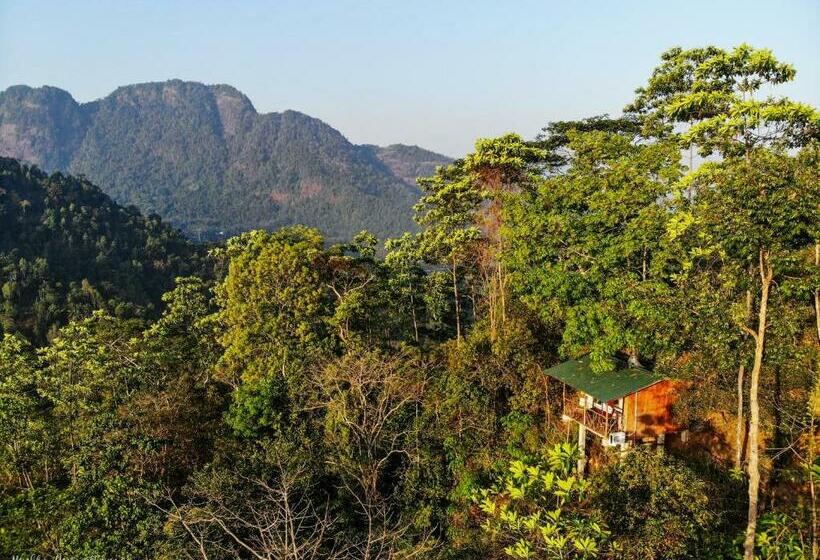 Hotel Tree Houses By Jungle River