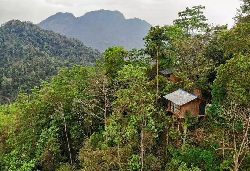 Hotelli Tree Houses By Jungle River