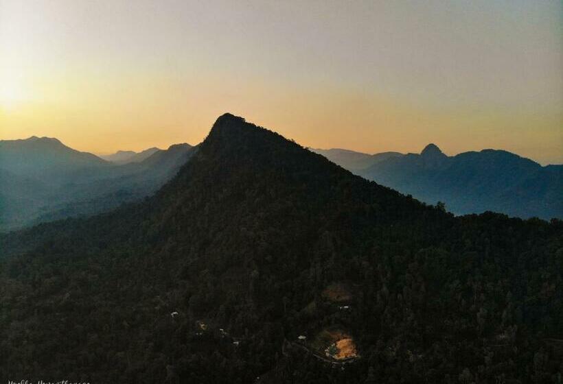 Hotel Tree Houses By Jungle River