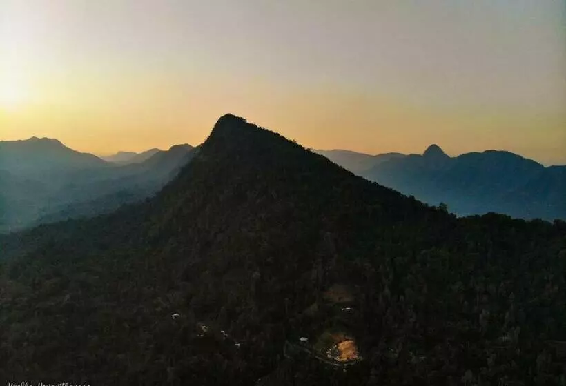 Hotelli Tree Houses By Jungle River