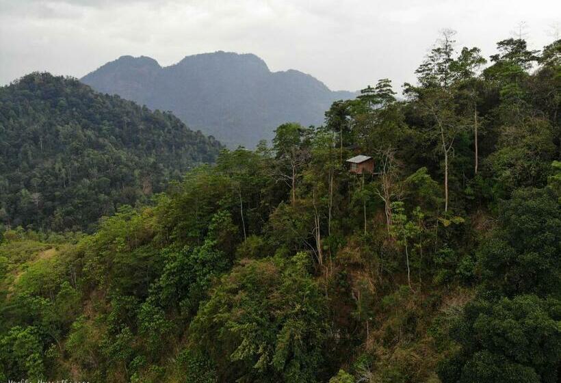 Hotel Tree Houses By Jungle River
