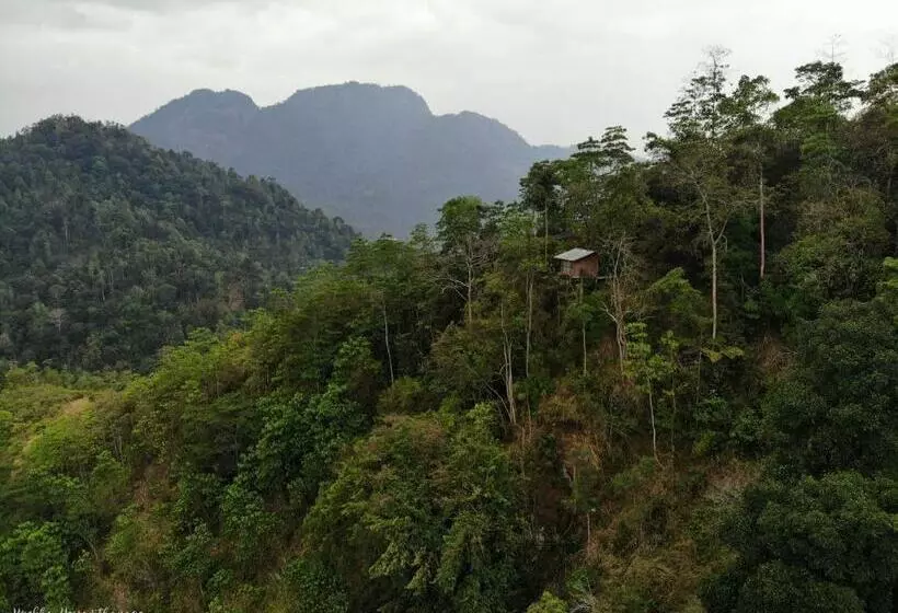 Hotelli Tree Houses By Jungle River