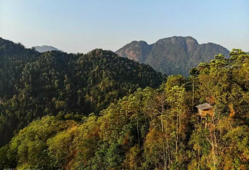 Hotelli Tree Houses By Jungle River