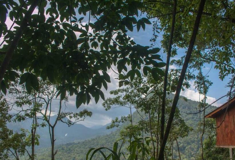 Hotel Tree Houses By Jungle River