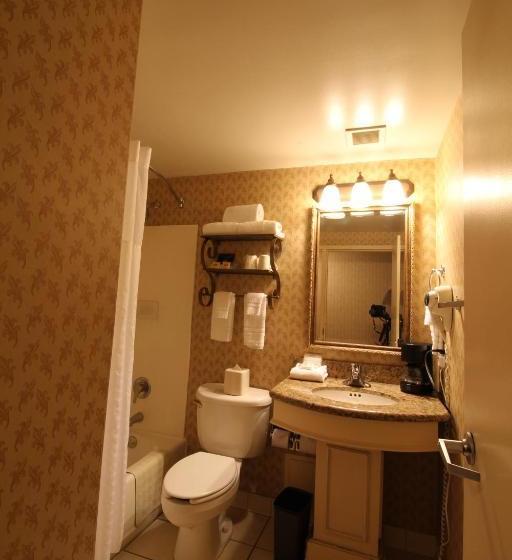 Gateway Hotel Dallas