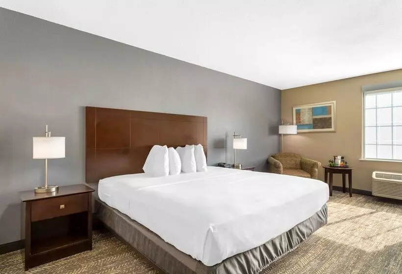 בית מלון כפרי Best Western Natchitoches Inn