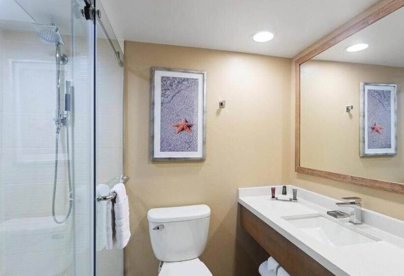 ホテル Clearwater Beach Marriott Resort On Sand Key