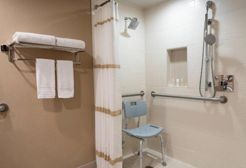 ホテル Clearwater Beach Marriott Resort On Sand Key