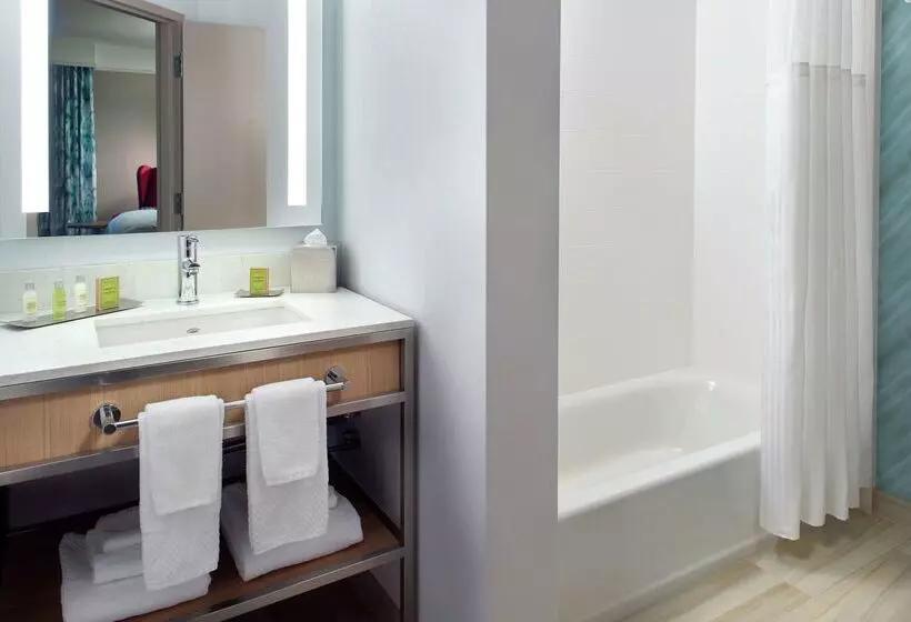 בית מלון כפרי Hilton Garden Inn Atlanta  Buckhead