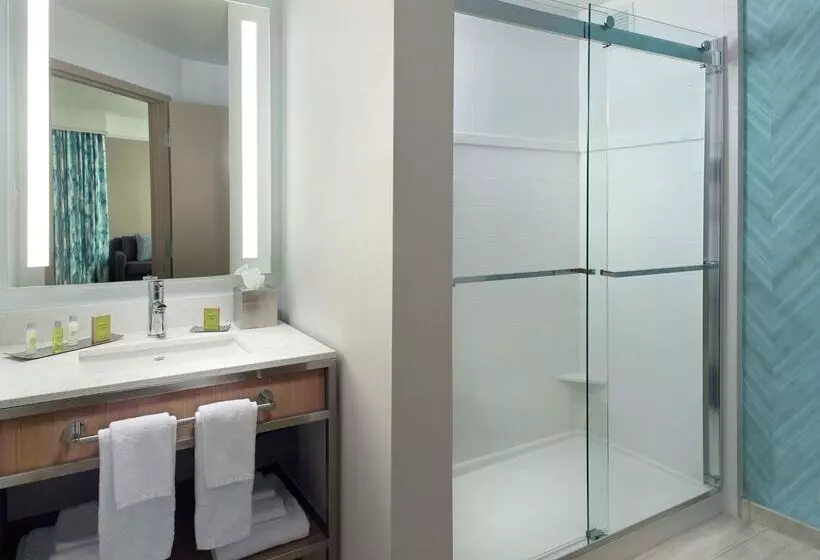 בית מלון כפרי Hilton Garden Inn Atlanta  Buckhead