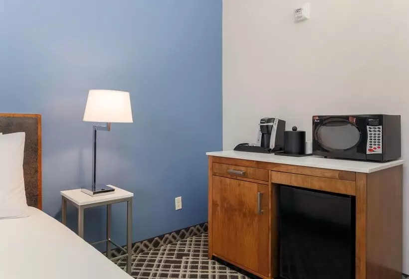 ホテル Hilton Garden Inn Dallas/market Center