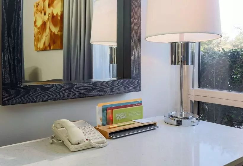 ホテル Hilton Garden Inn Dallas/market Center