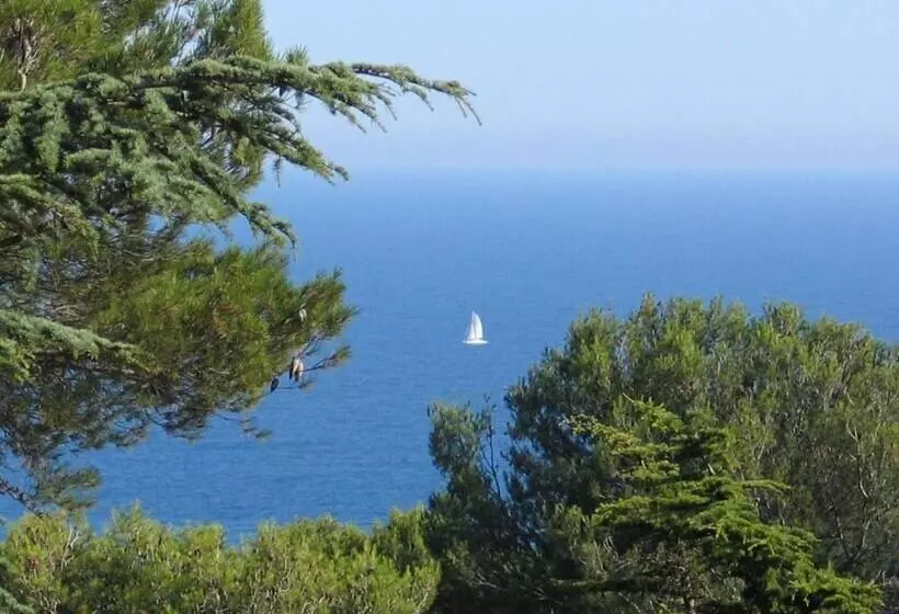 هتل Lagrange Vacances Les Pescalunes