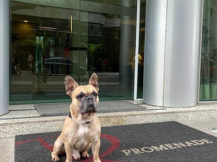 هتل Promenade Palladium Leblon