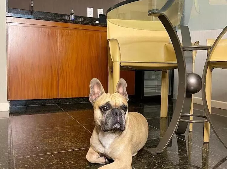 酒店 Promenade Palladium Leblon