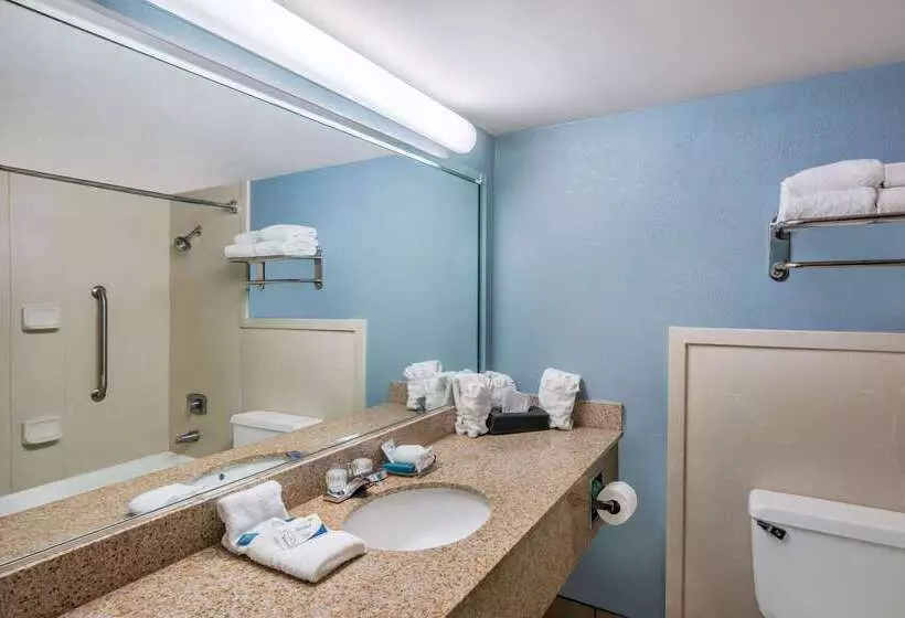 هتل Travelodge By Wyndham Memphis Airport/graceland