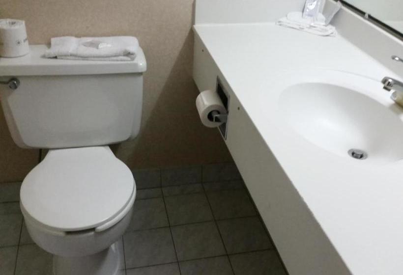 University Hotel & Suites