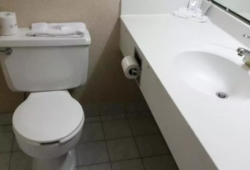 University Hotel & Suites