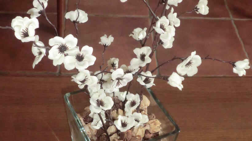 Varandas De Alter Hotel & Spa