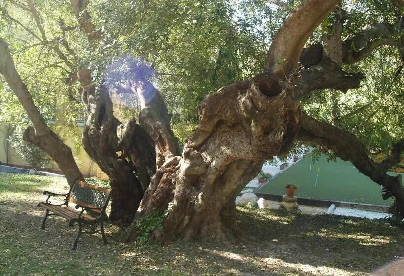 Отель Villa Lehmi