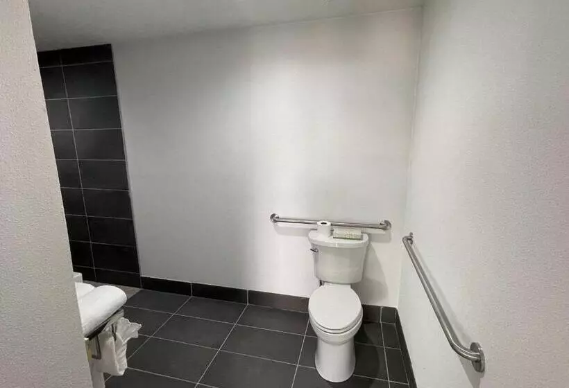 The Midtowner Hotel, Surestay Collection By Best Western