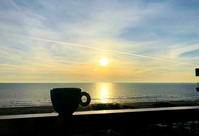 هتل Azaleea Mamaia Nord