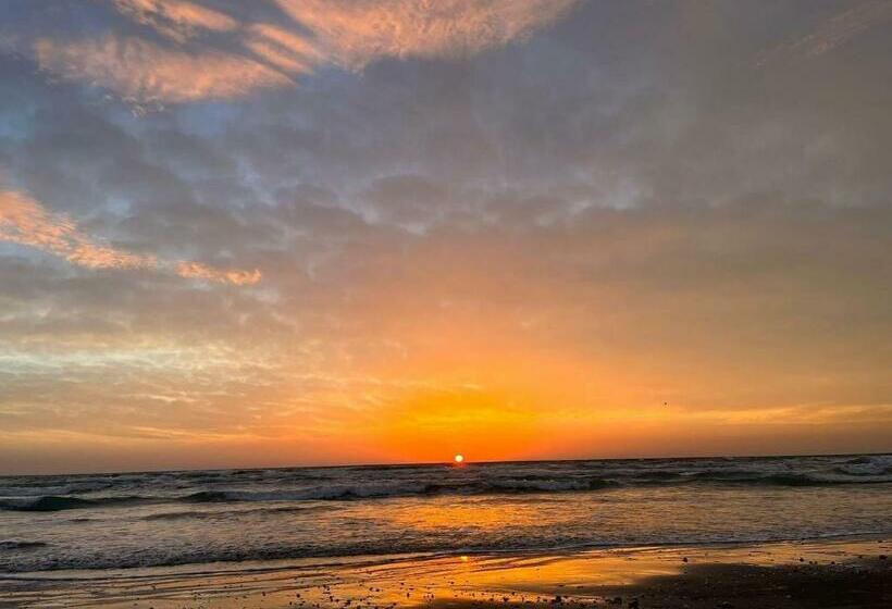 هتل Azaleea Mamaia Nord