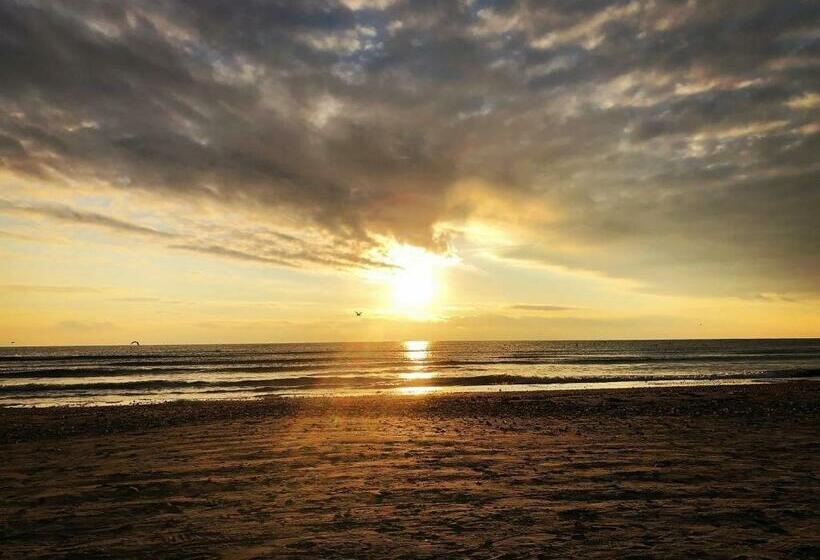 هتل Azaleea Mamaia Nord