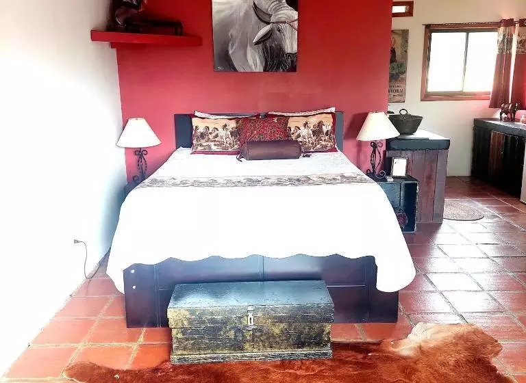 Toucan Lane Hotel And Restaurant