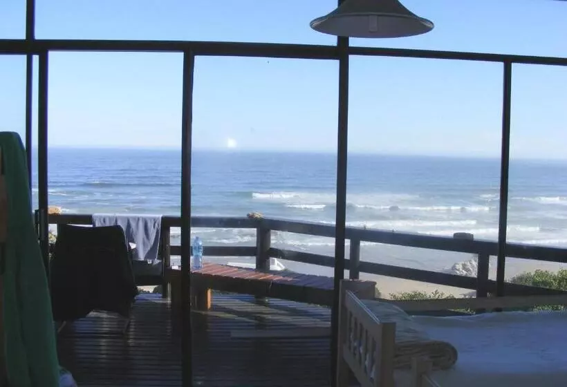 هاستل Wilderness Beach House Backpackers Lodge