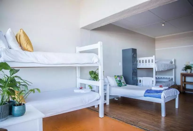 هاستل Wilderness Beach House Backpackers Lodge