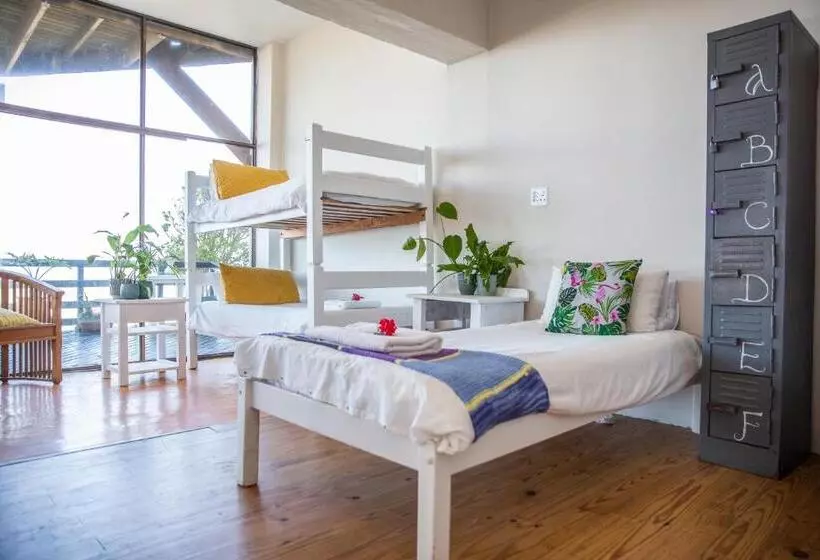هاستل Wilderness Beach House Backpackers Lodge