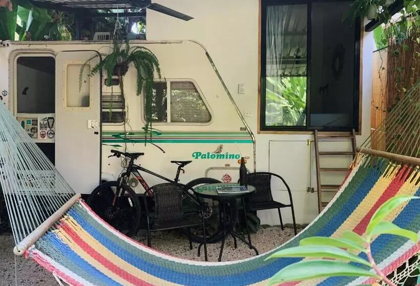 تختخواب و صبحانه El Chante Surf House