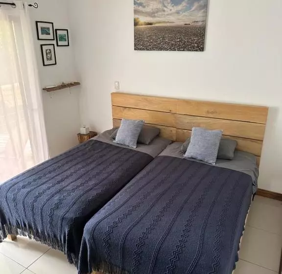 تختخواب و صبحانه El Chante Surf House