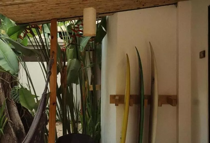 تختخواب و صبحانه El Chante Surf House