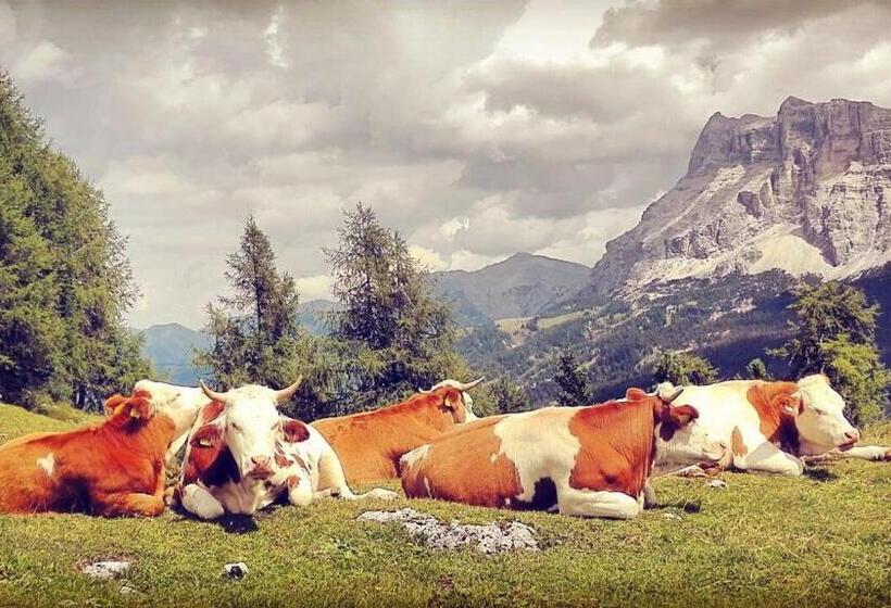 住宿加早餐  Garni Flurida