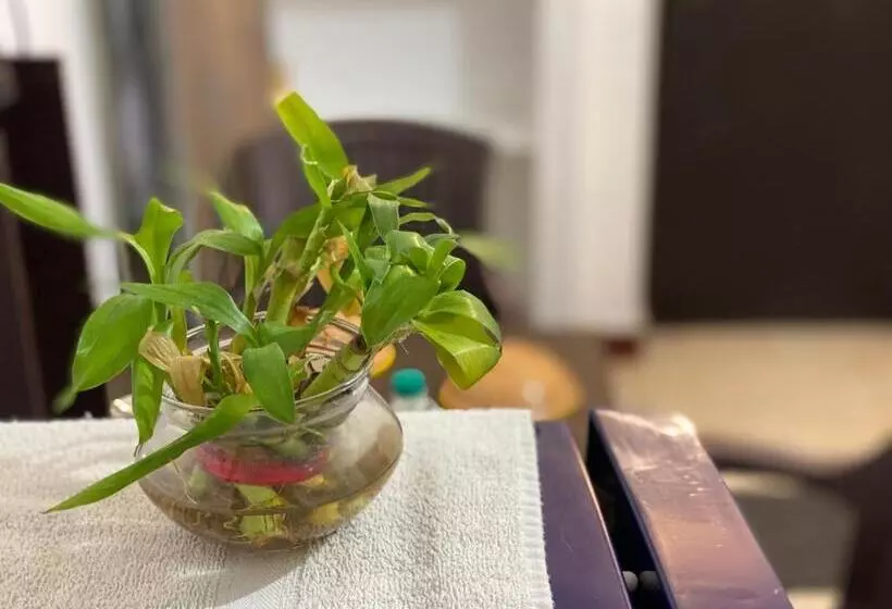 Majatalo The Sea Shelter Home Stay