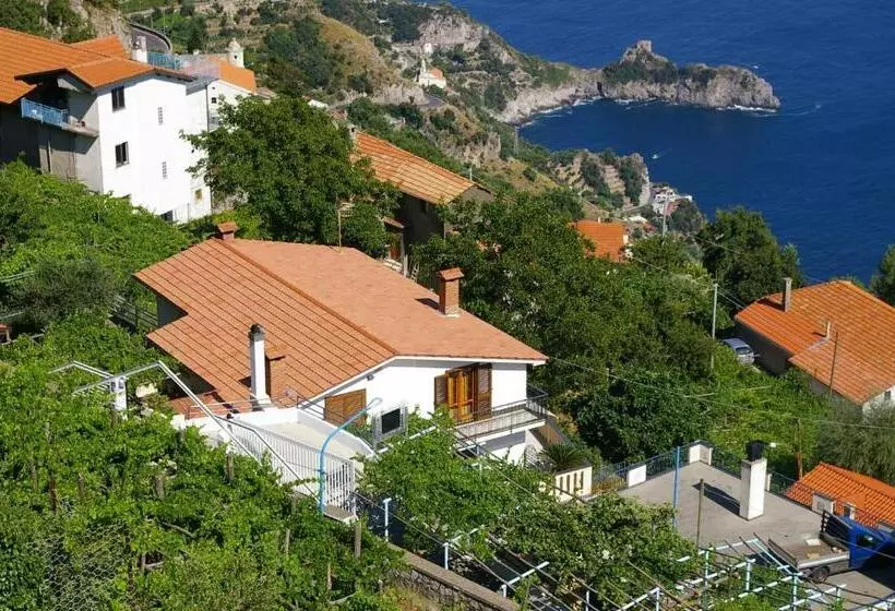 B&b Il Nespolo