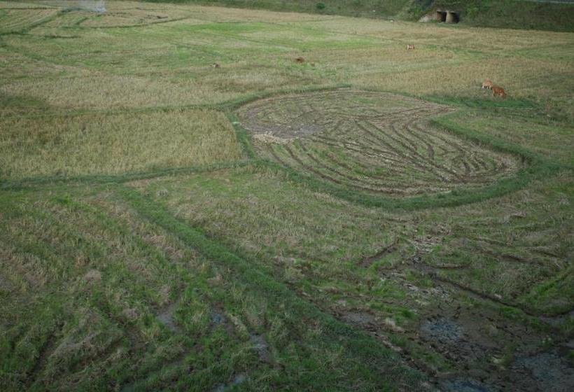 تختخواب و صبحانه Phong Nha   Tien S Cozy Homestay