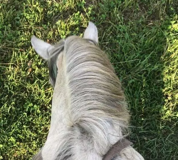 پانسیون Roza's Guest House