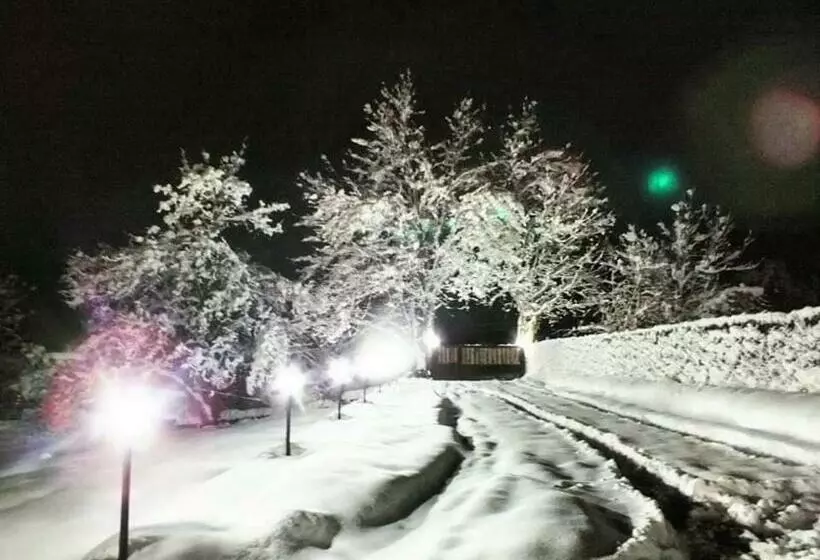 پانسیون Roza's Guest House