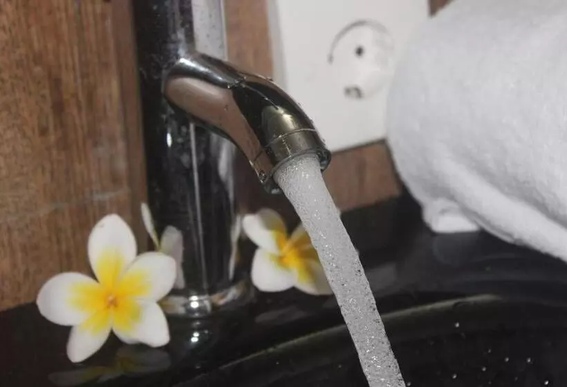 Majatalo Silvy Guesthouse
