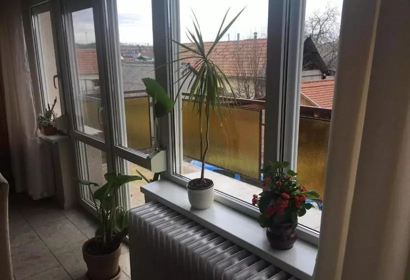 ペンション Tompos Vendégház és Pince