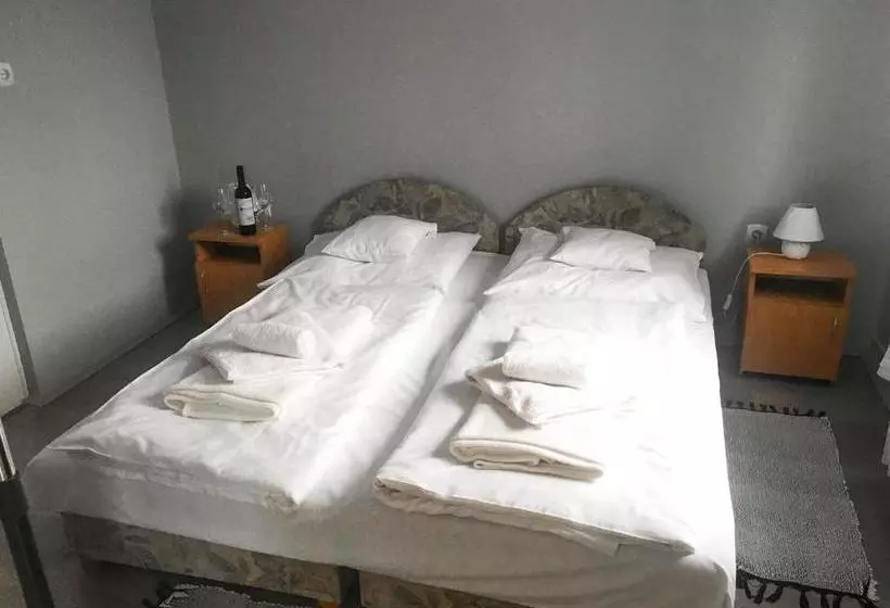 ペンション Tompos Vendégház és Pince